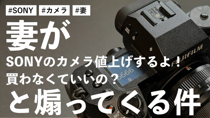 妻が「SONYのカメラ値上げするよ！買わなくていいの？」と煽ってくる件