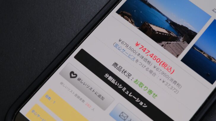 気軽に手を出せるモノではない