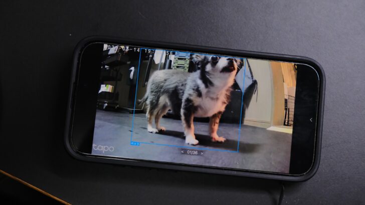 スマートAI検知機能が優秀