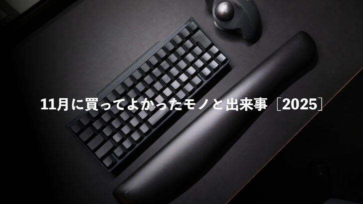 11月に買ってよかったモノと出来事［2025］