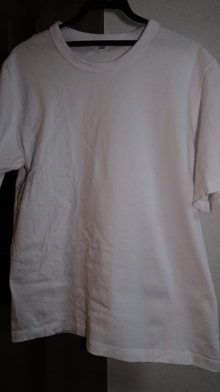 Neakasa Magic 1 レビュー