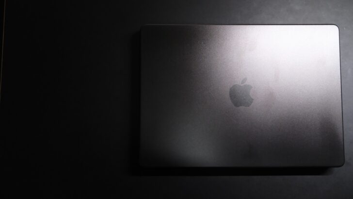 購入したモデル